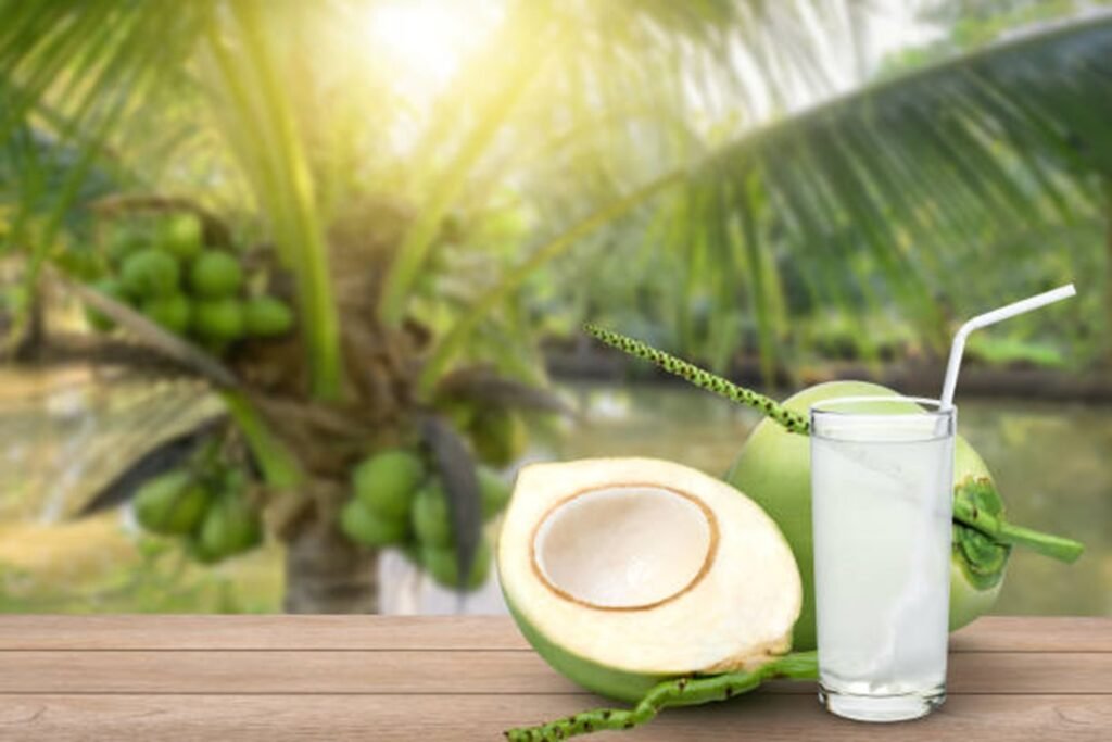 coconut water